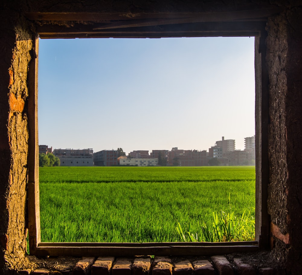 a window view of a green field with buildings in the background