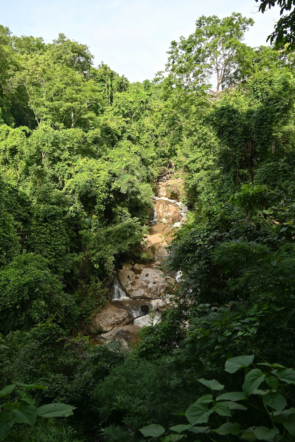 a small waterfall in the middle of a forest