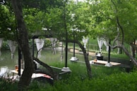 A serene outdoor seating space surrounded by lush greenery at Sterling Puri.