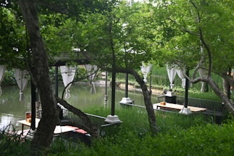 A serene outdoor seating space surrounded by lush greenery at Sterling Puri.