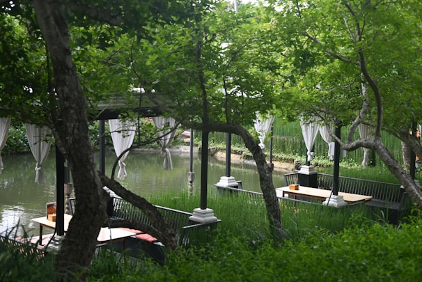 Outdoor terrace with elegant seating area surrounded by natural greenery