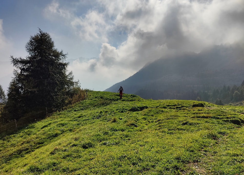 Una persona in piedi sulla cima di una collina verde lussureggiante