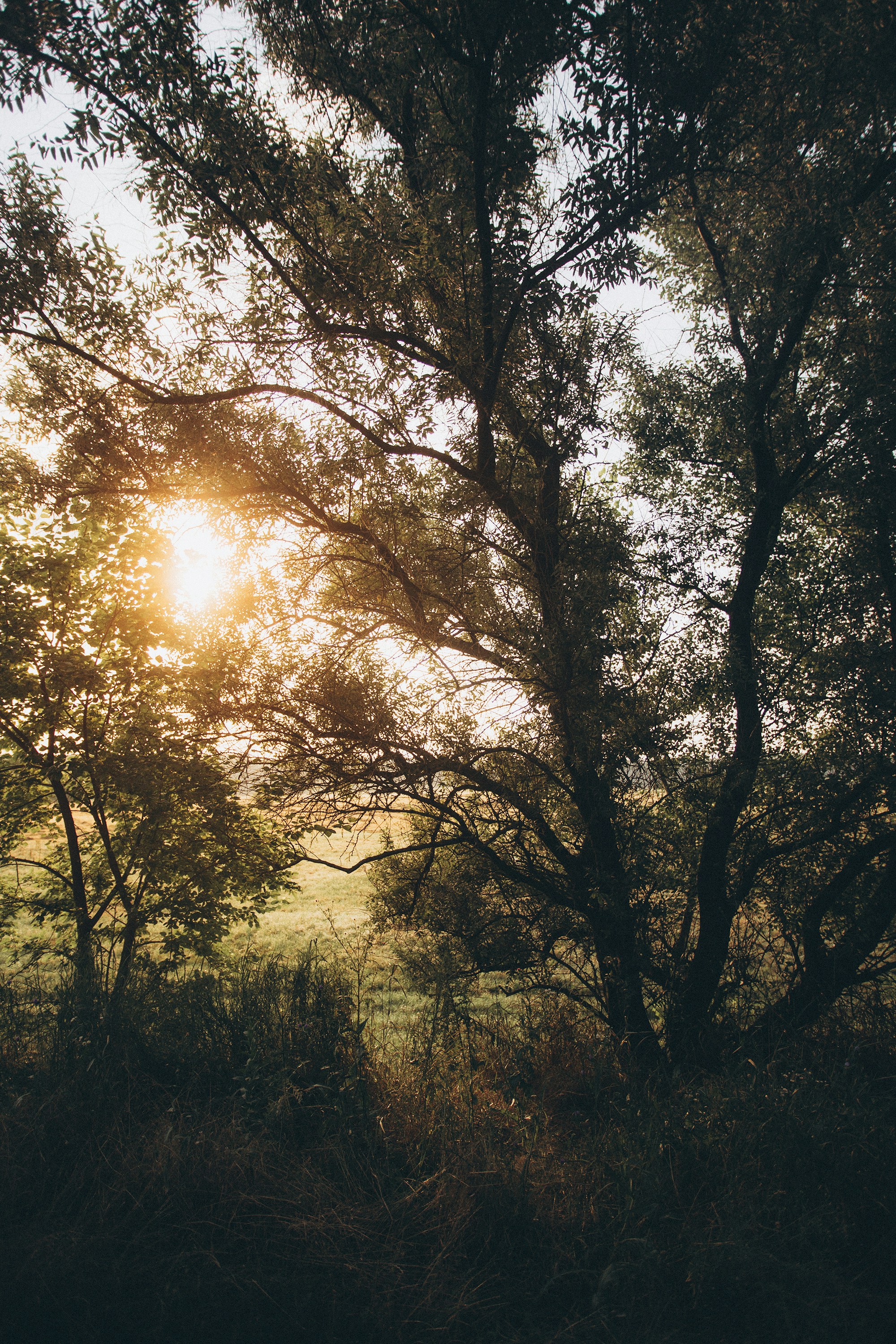 Photo by panfilov_jpg