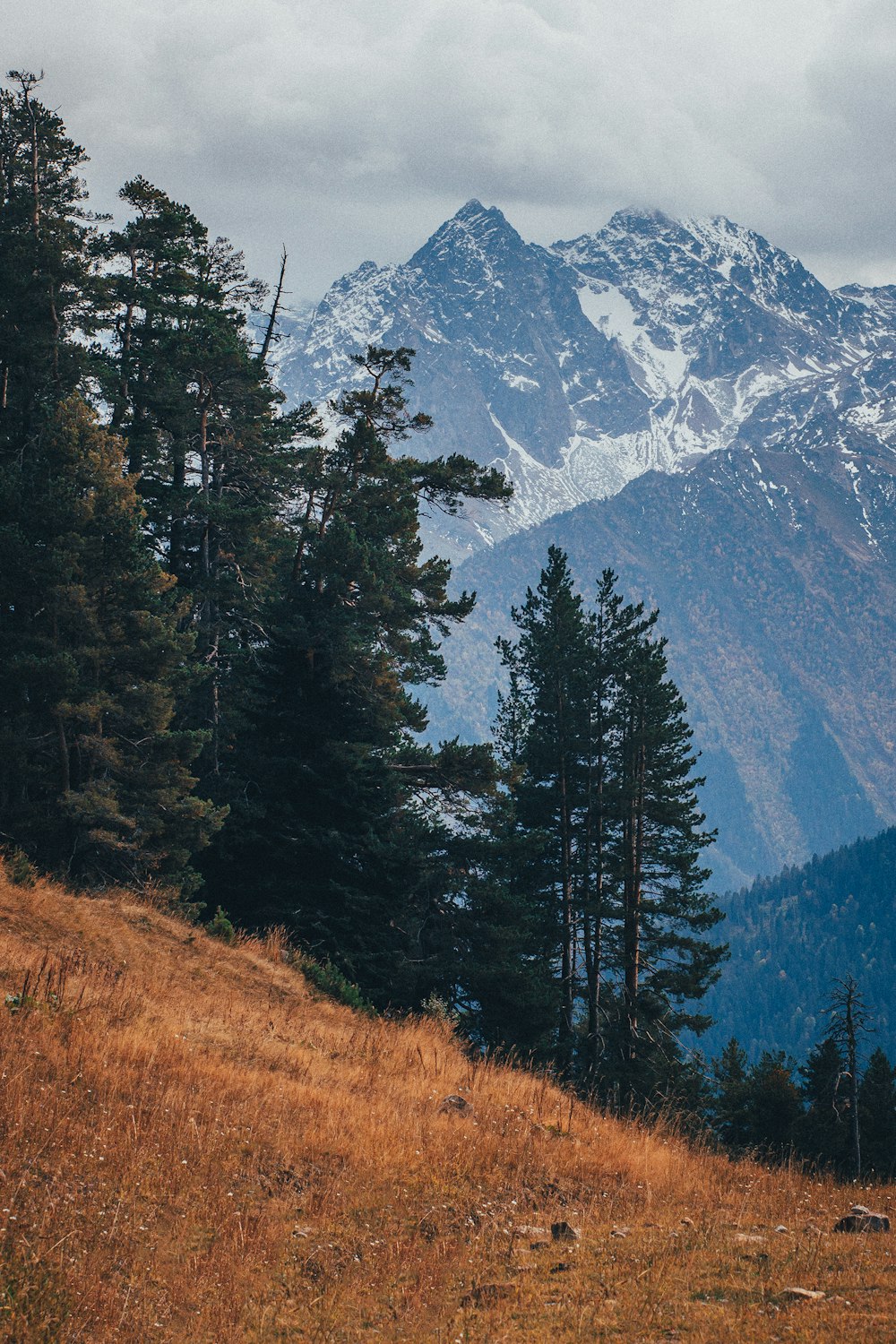 a mountain range with a few trees on the side of it