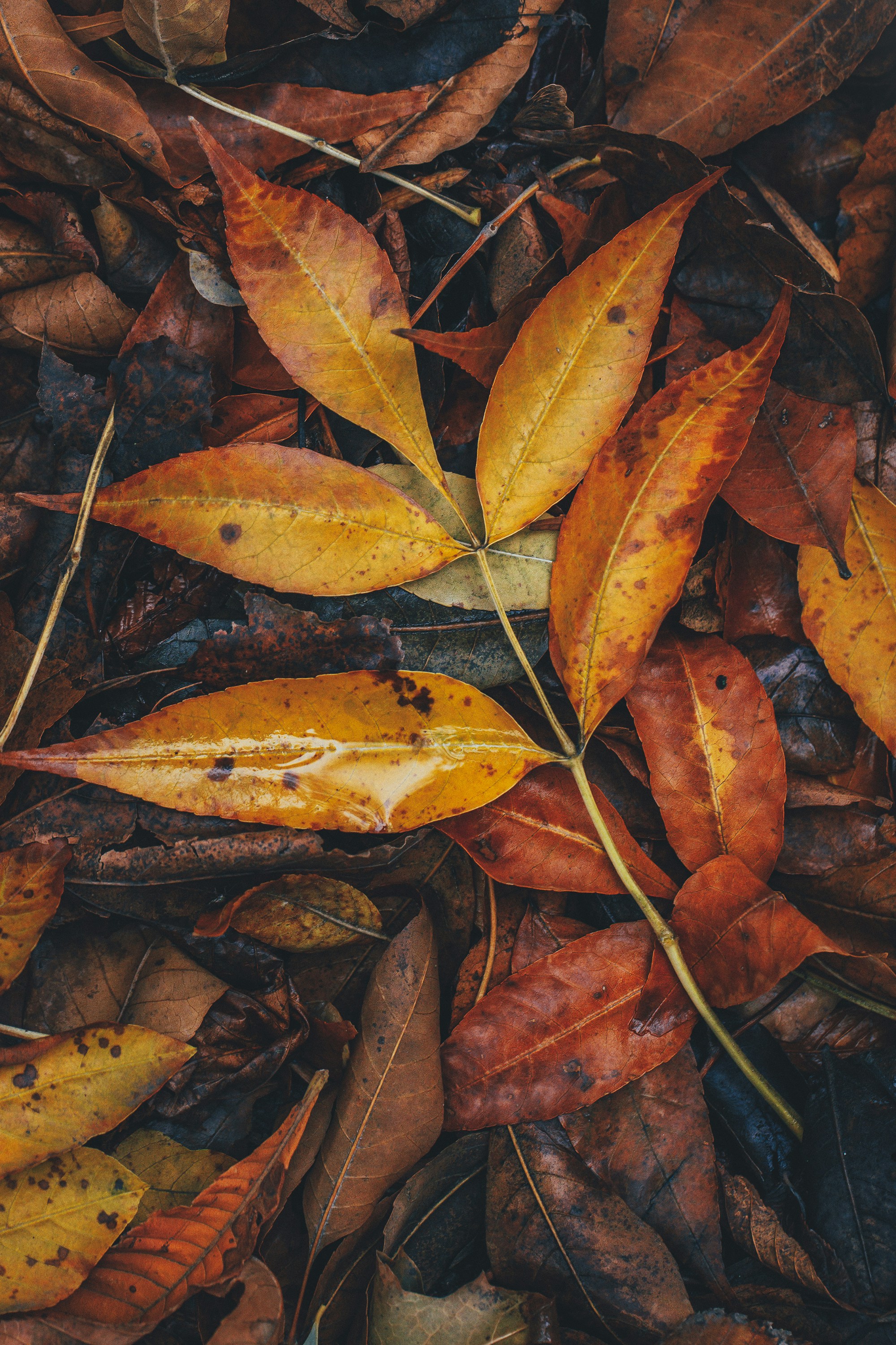 Photo by panfilov_jpg