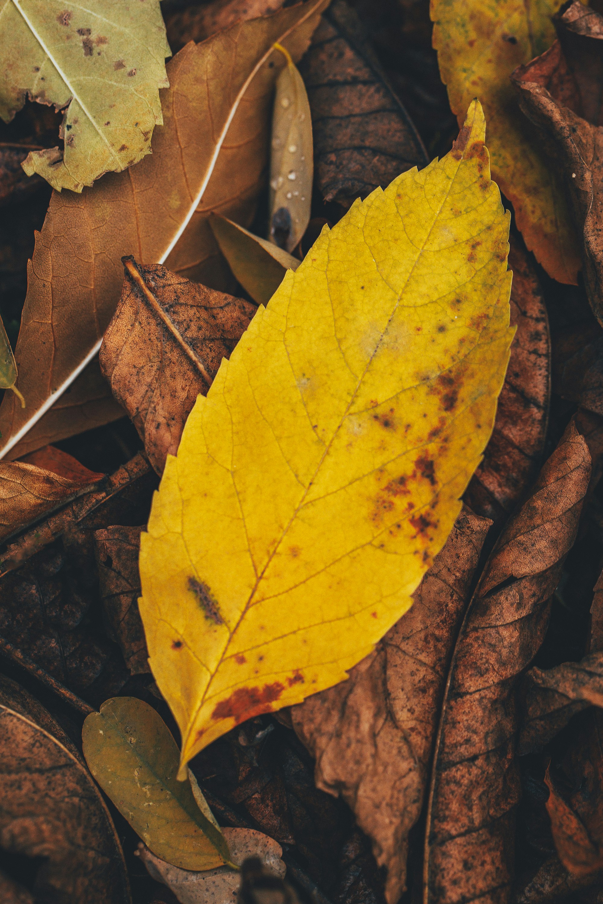 Photo by panfilov_jpg