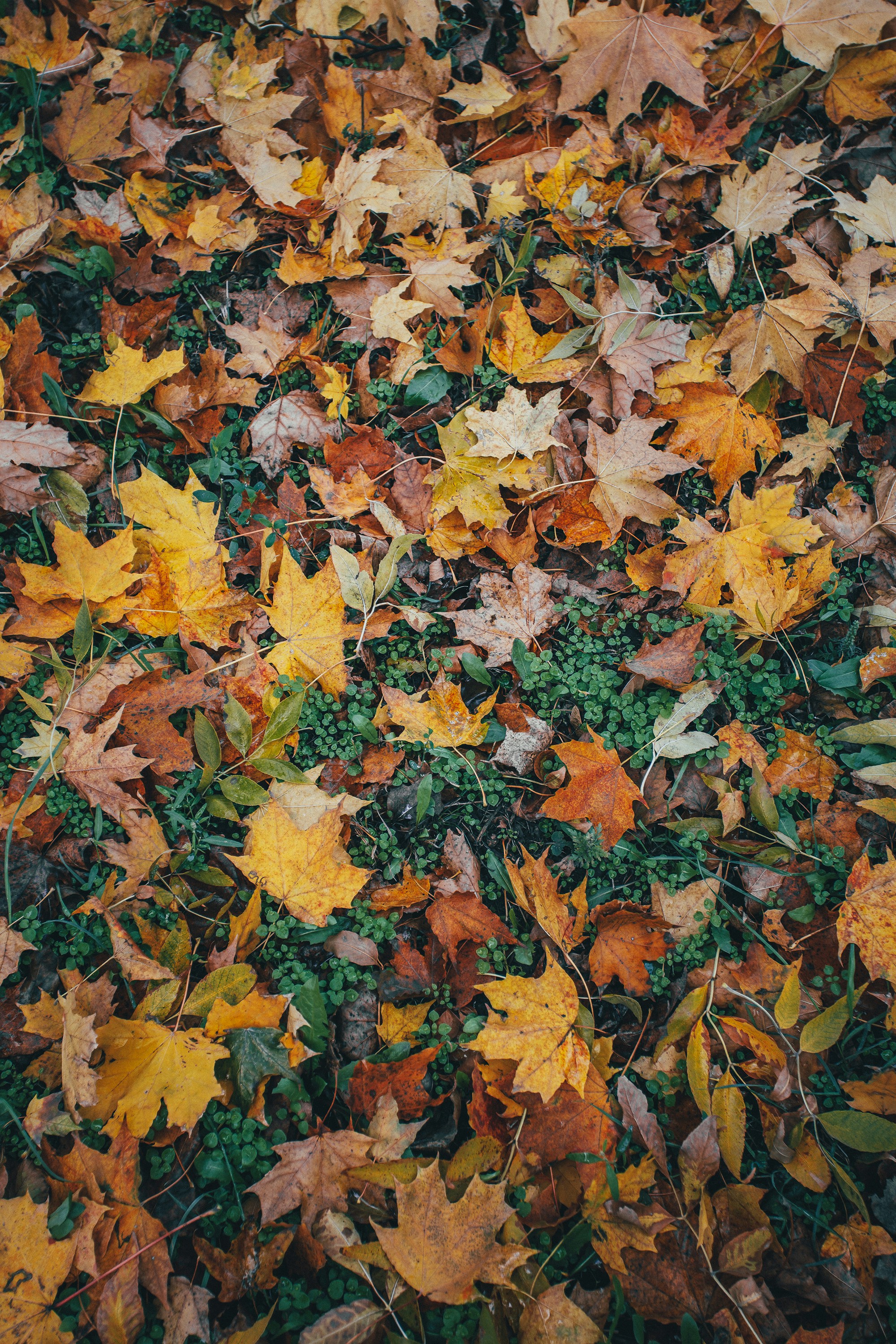 Photo by panfilov_jpg