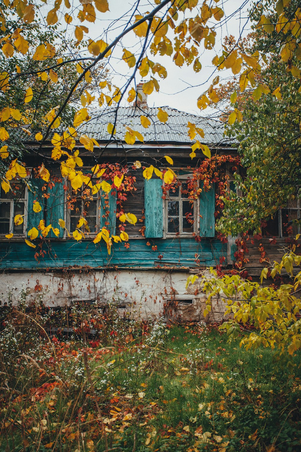 an old house with green shutters and yellow leaves