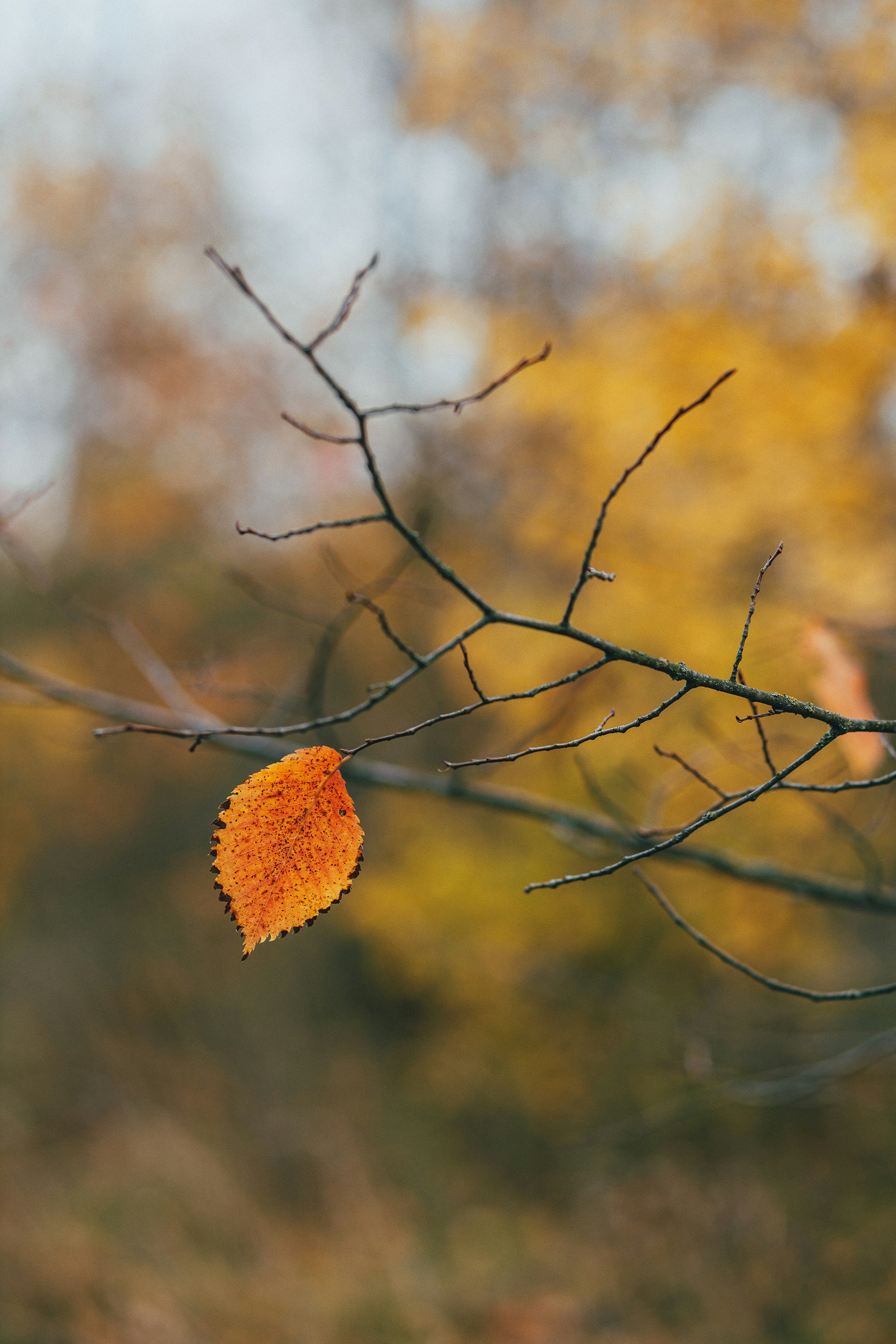 Photo by panfilov_jpg