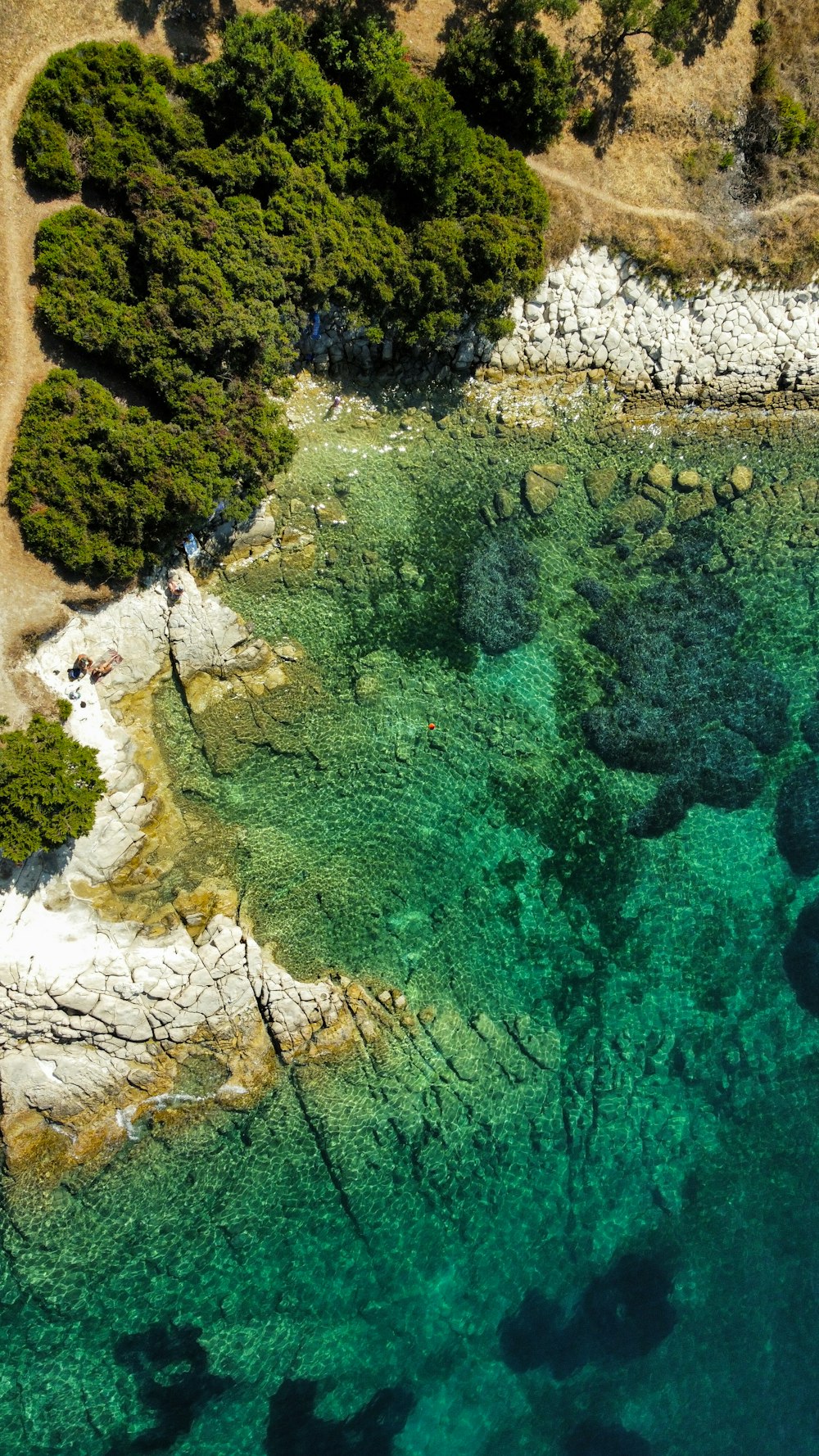 une vue aérienne d’un plan d’eau entouré d’arbres