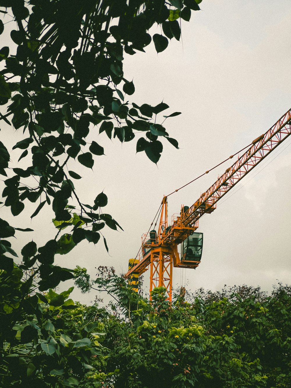 a yellow crane is in the middle of a forest