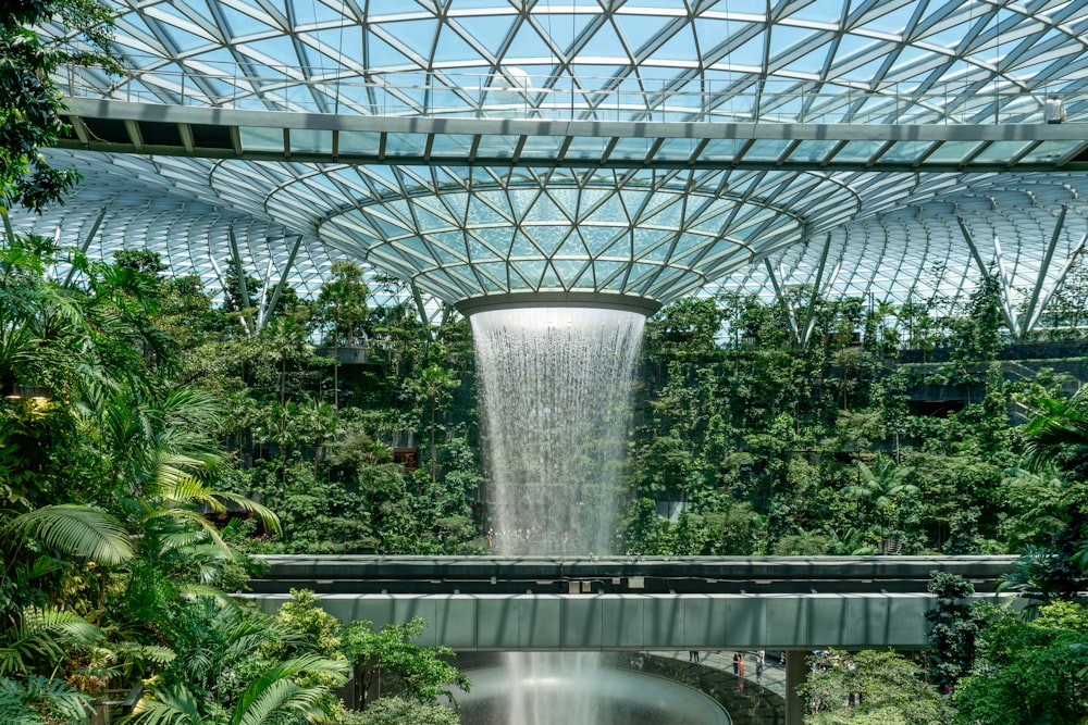 a waterfall in the middle of a tropical garden