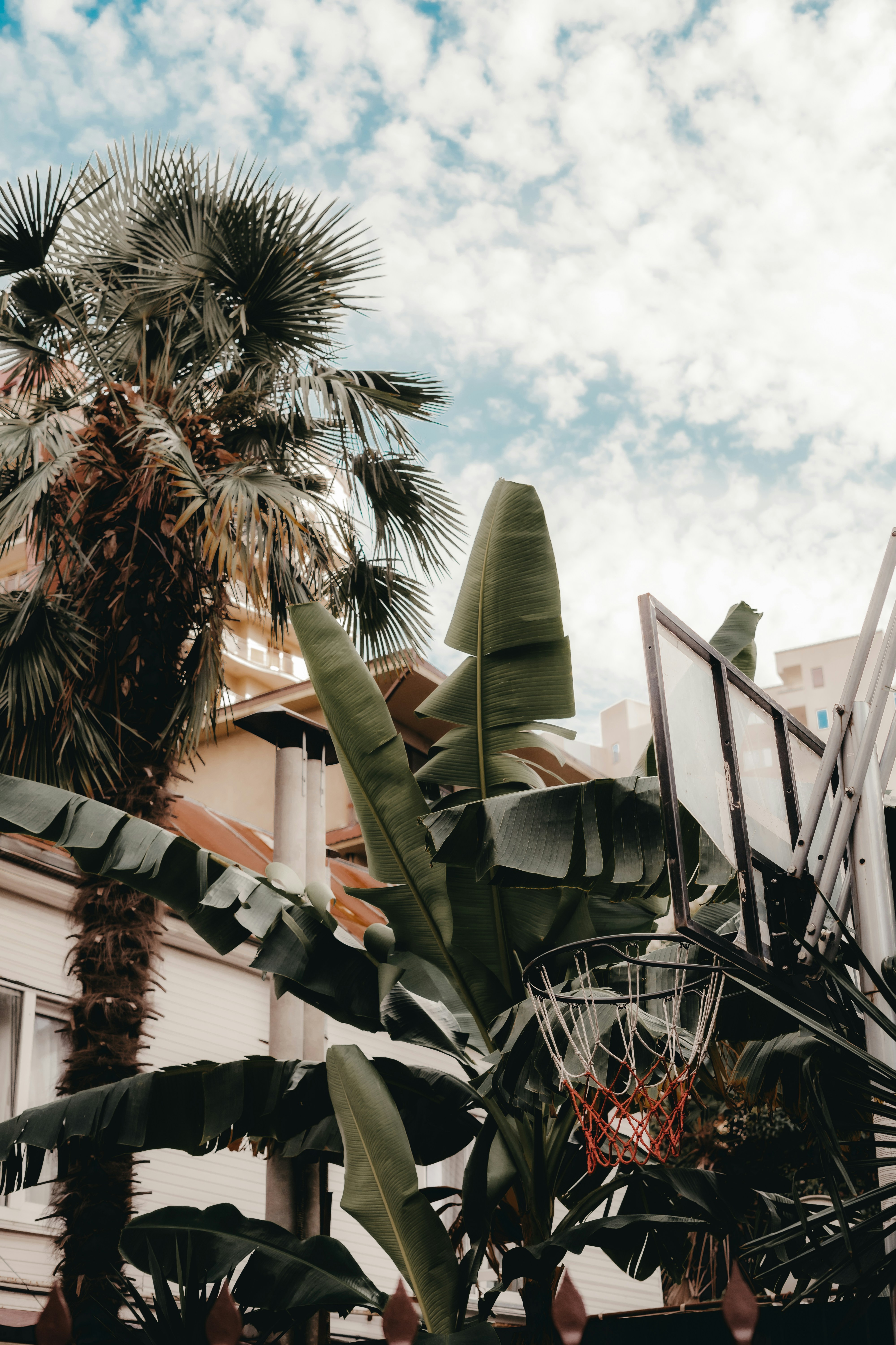 Photo by volkova_2897