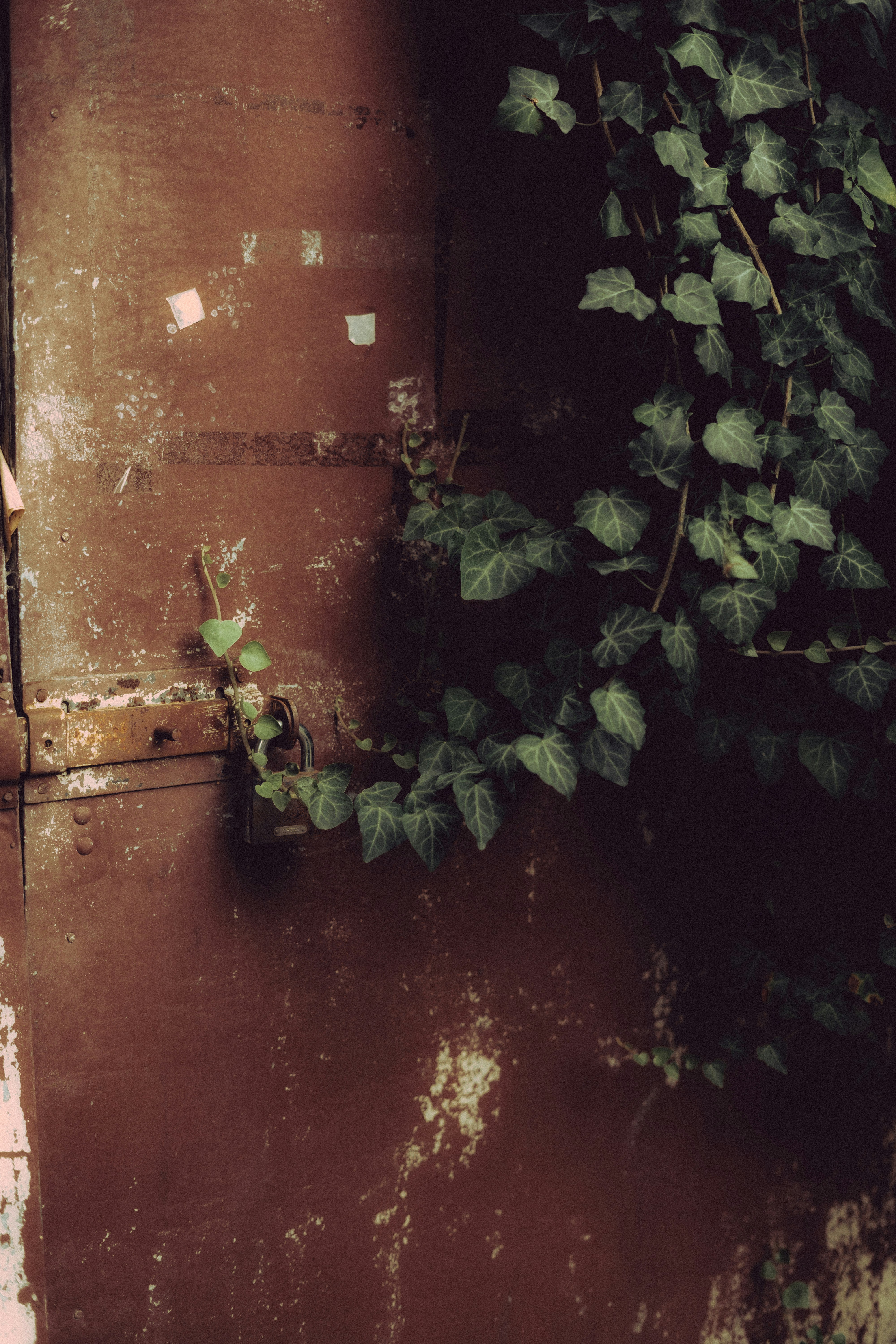 Photo by volkova_2897