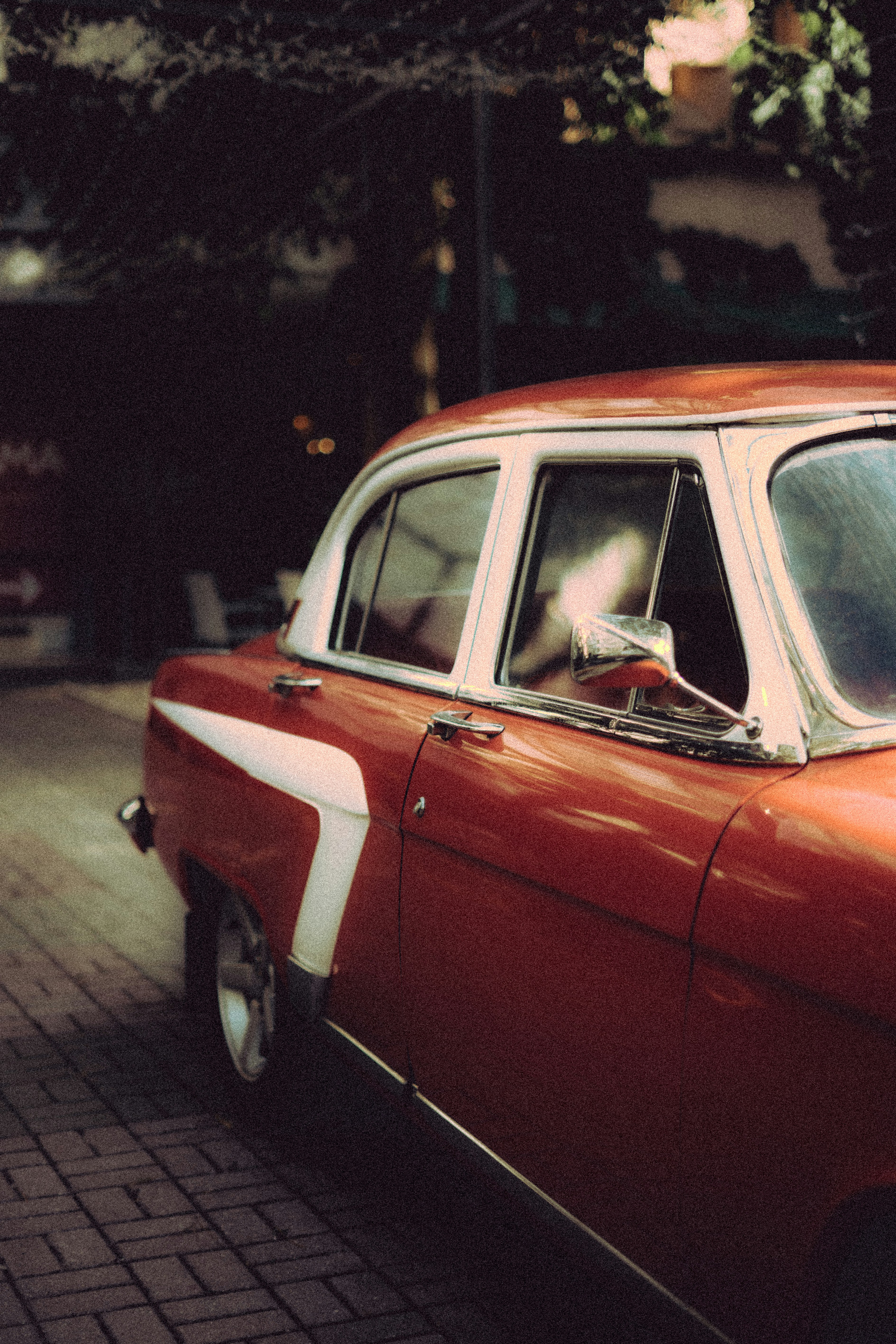 Photo by volkova_2897