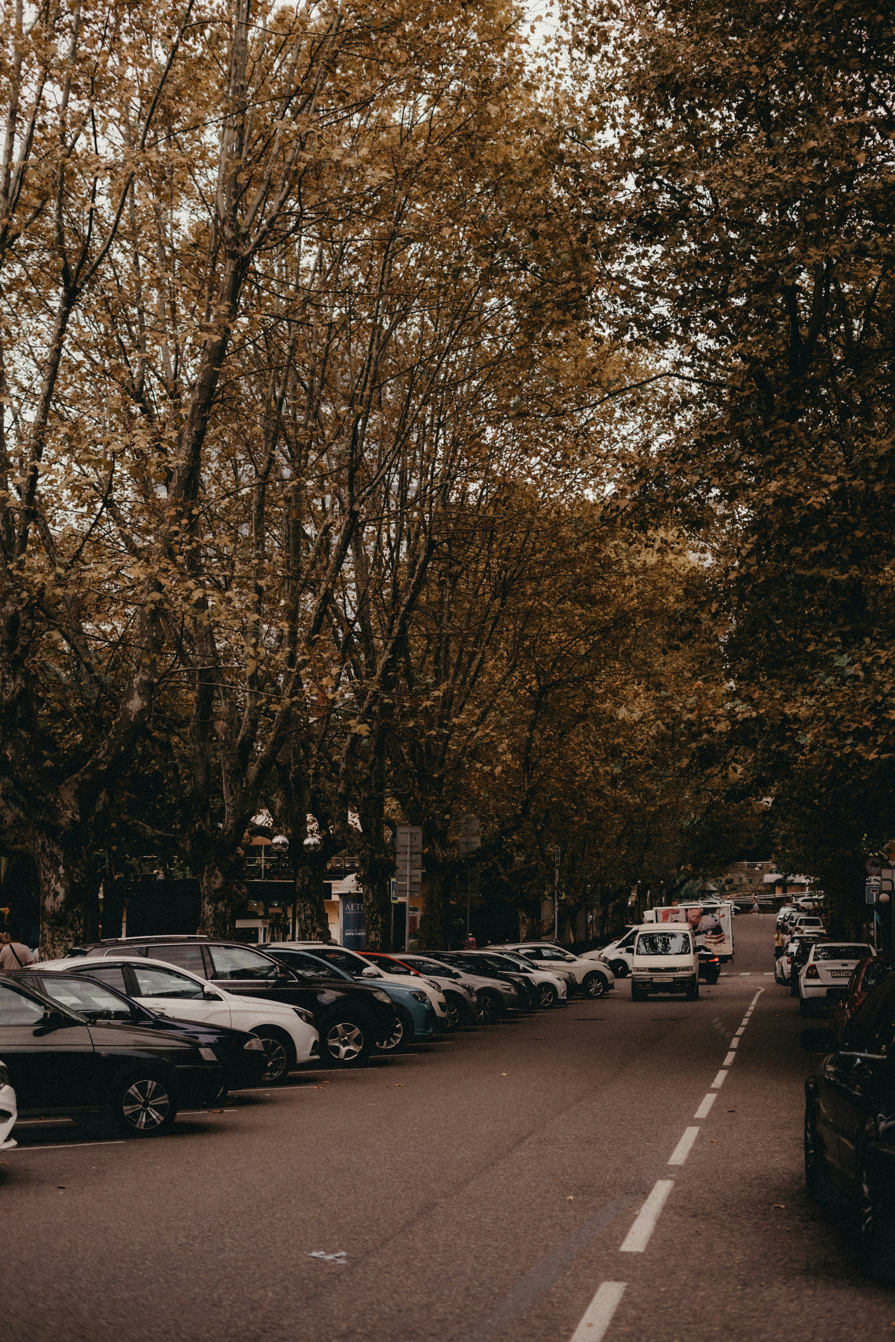 Photo by volkova_2897