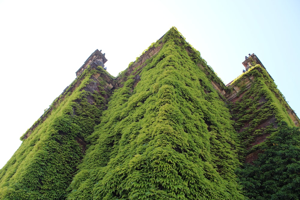 a very tall building covered in lots of green plants