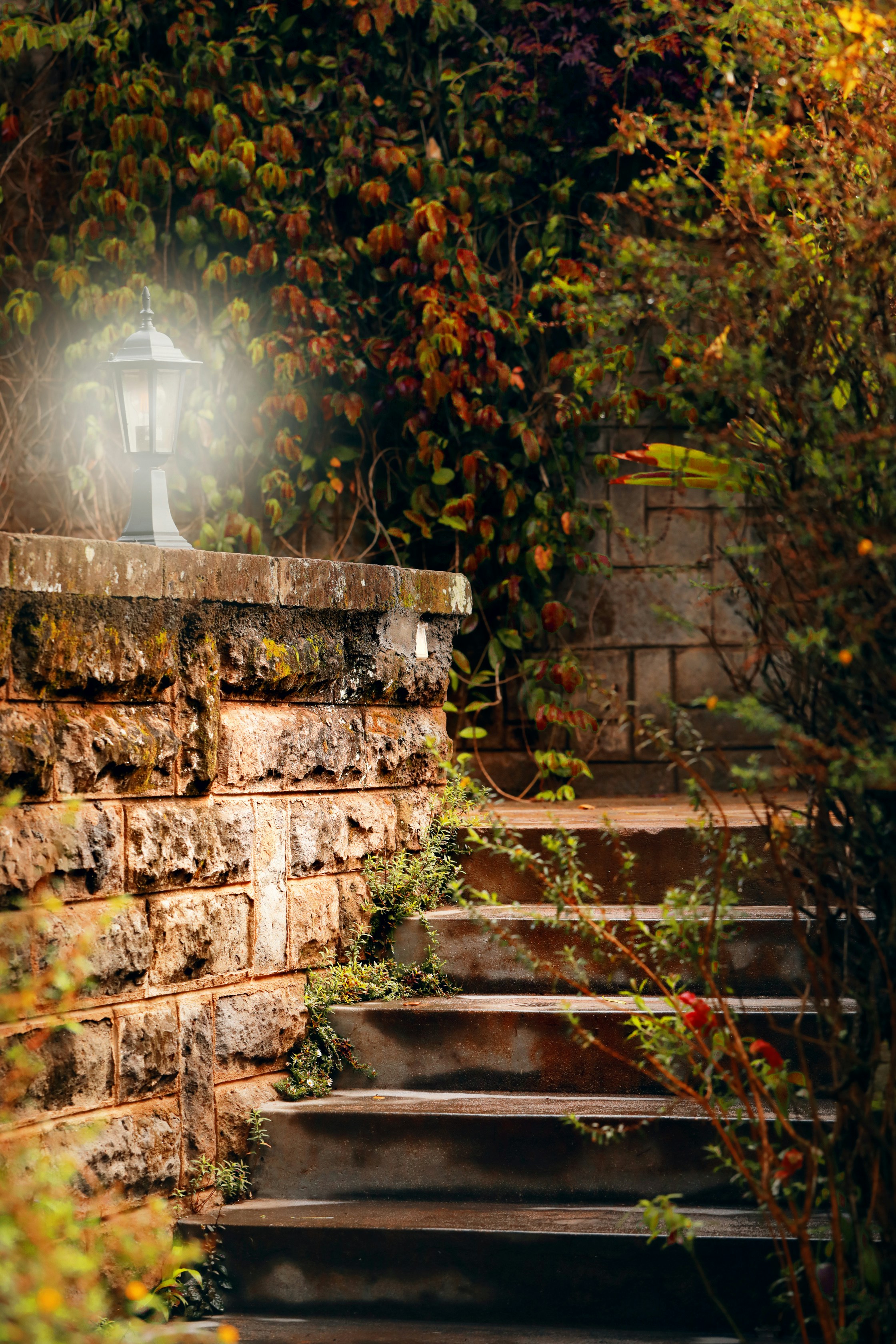 Photo by bill_muganda