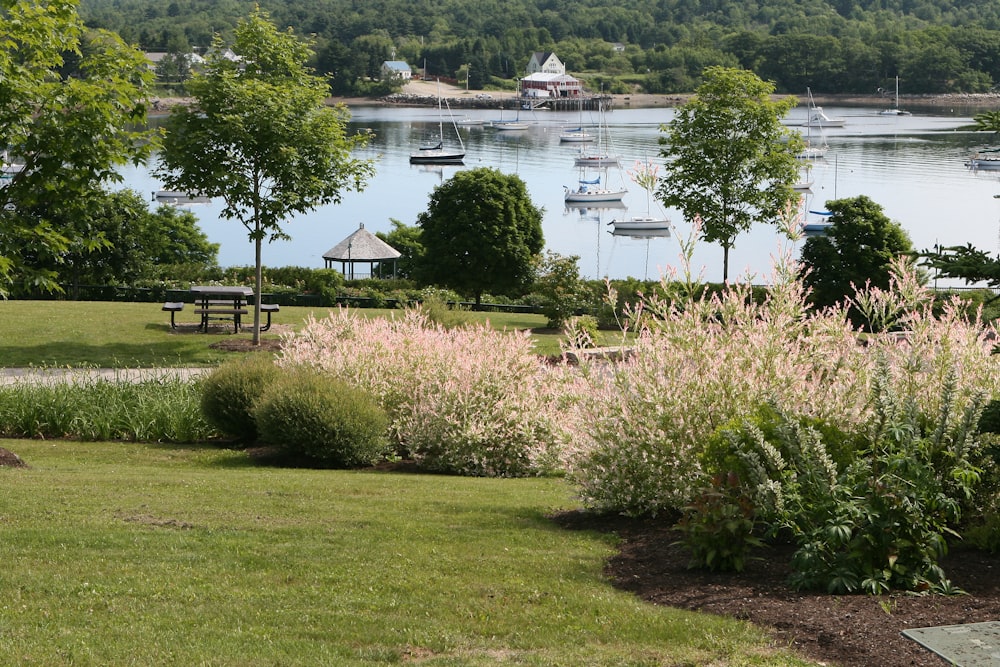 a park with a lake and boats in the background