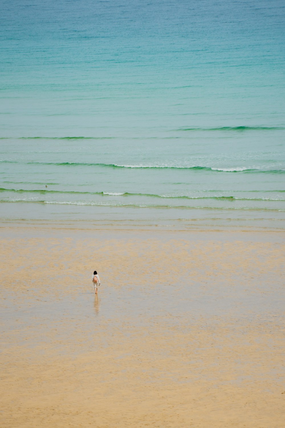 a lone bird standing in the shallow water of a beach