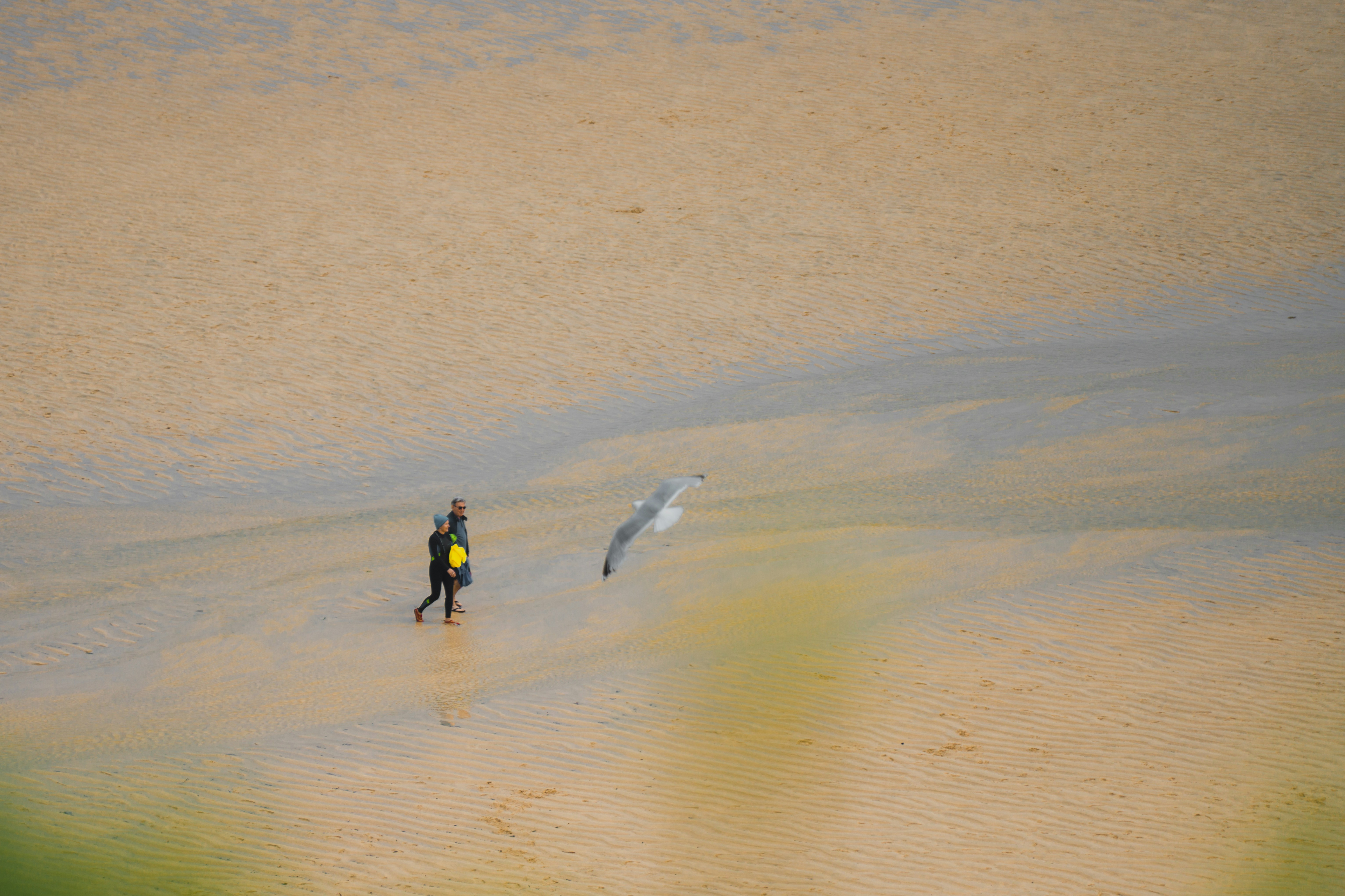 Photo by winstontjia