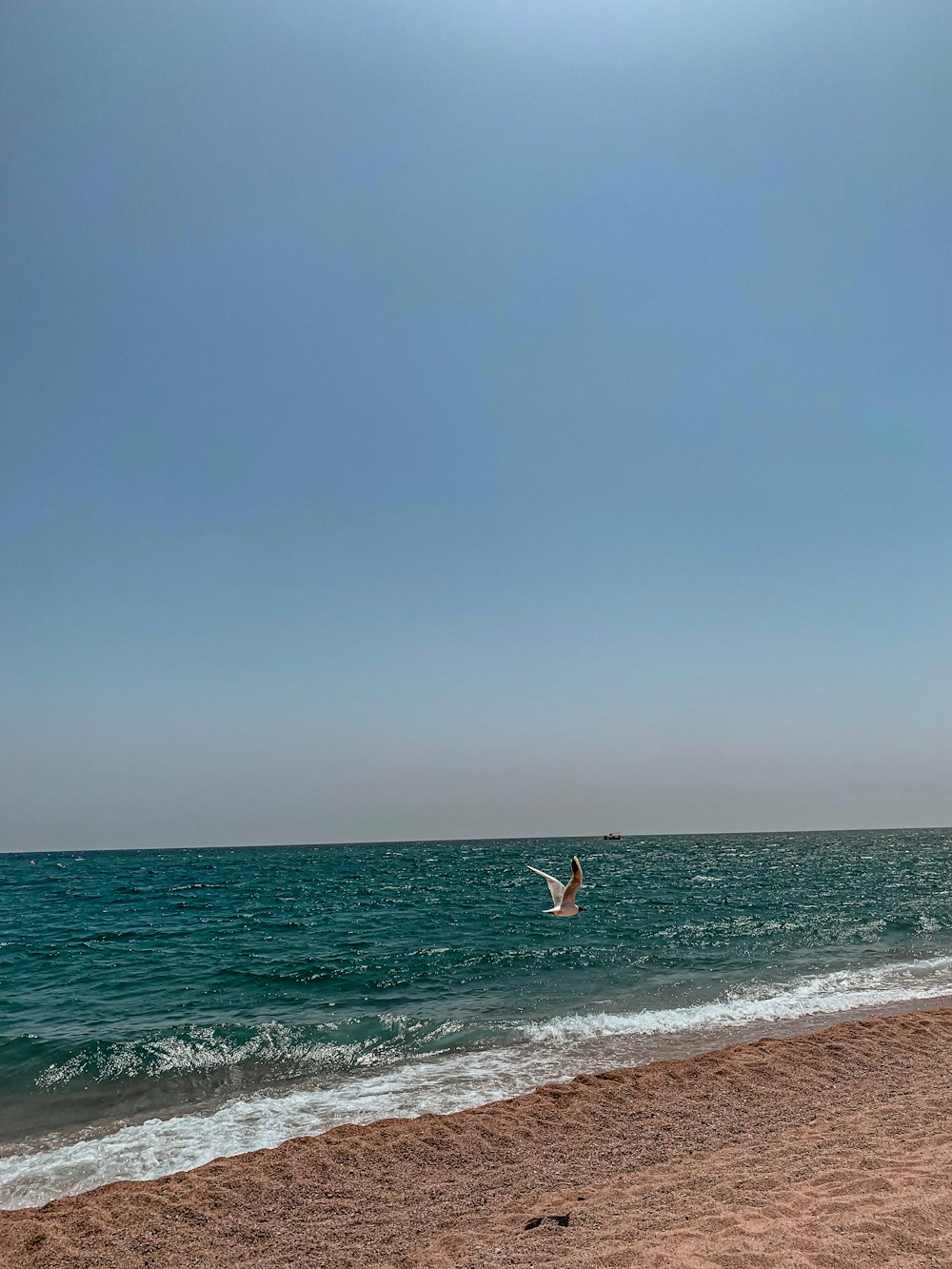 a person flying a kite on the beach