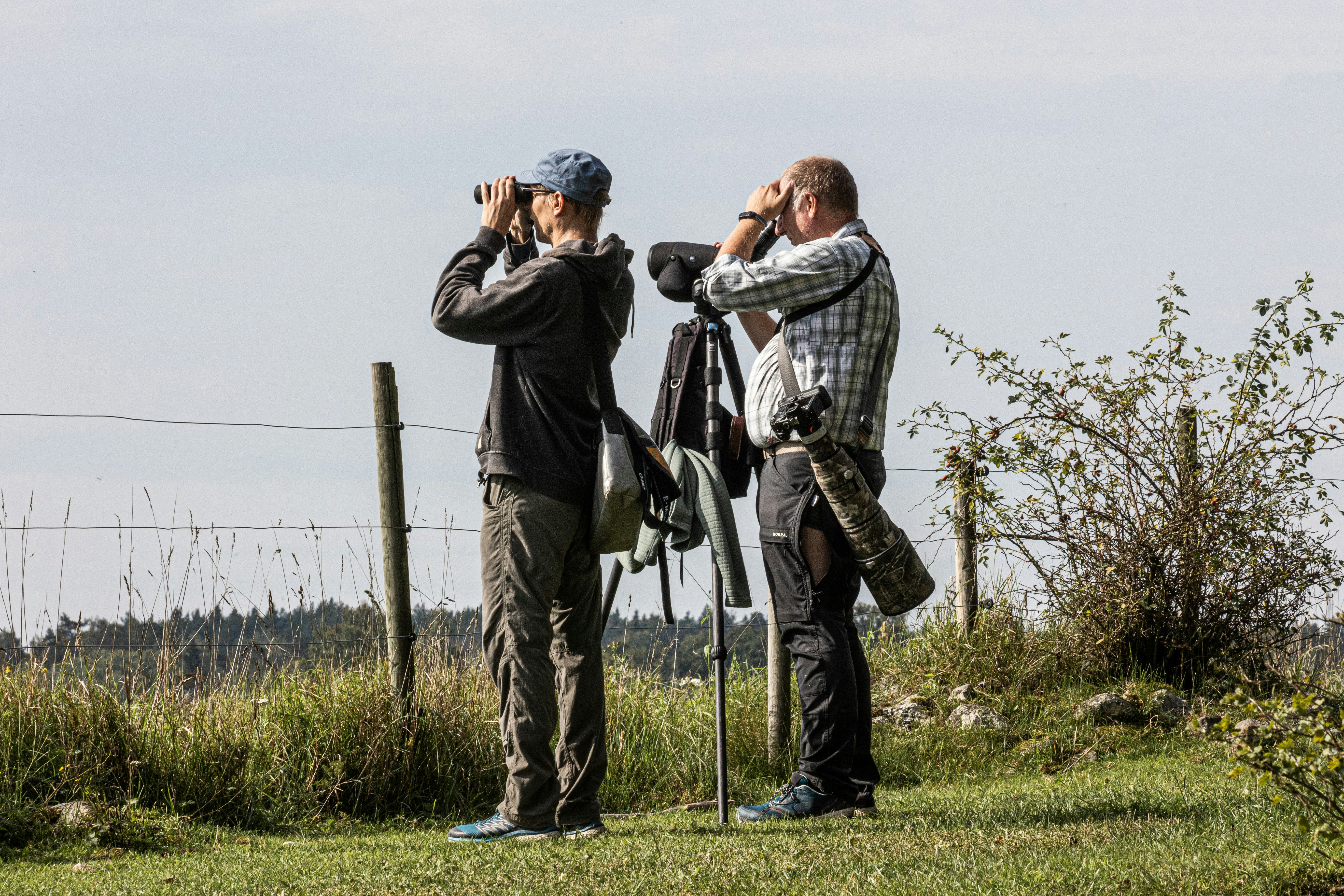 The Thrill of Wildlife Watching: A Rewarding Experience Beyond Hunting and Fishing