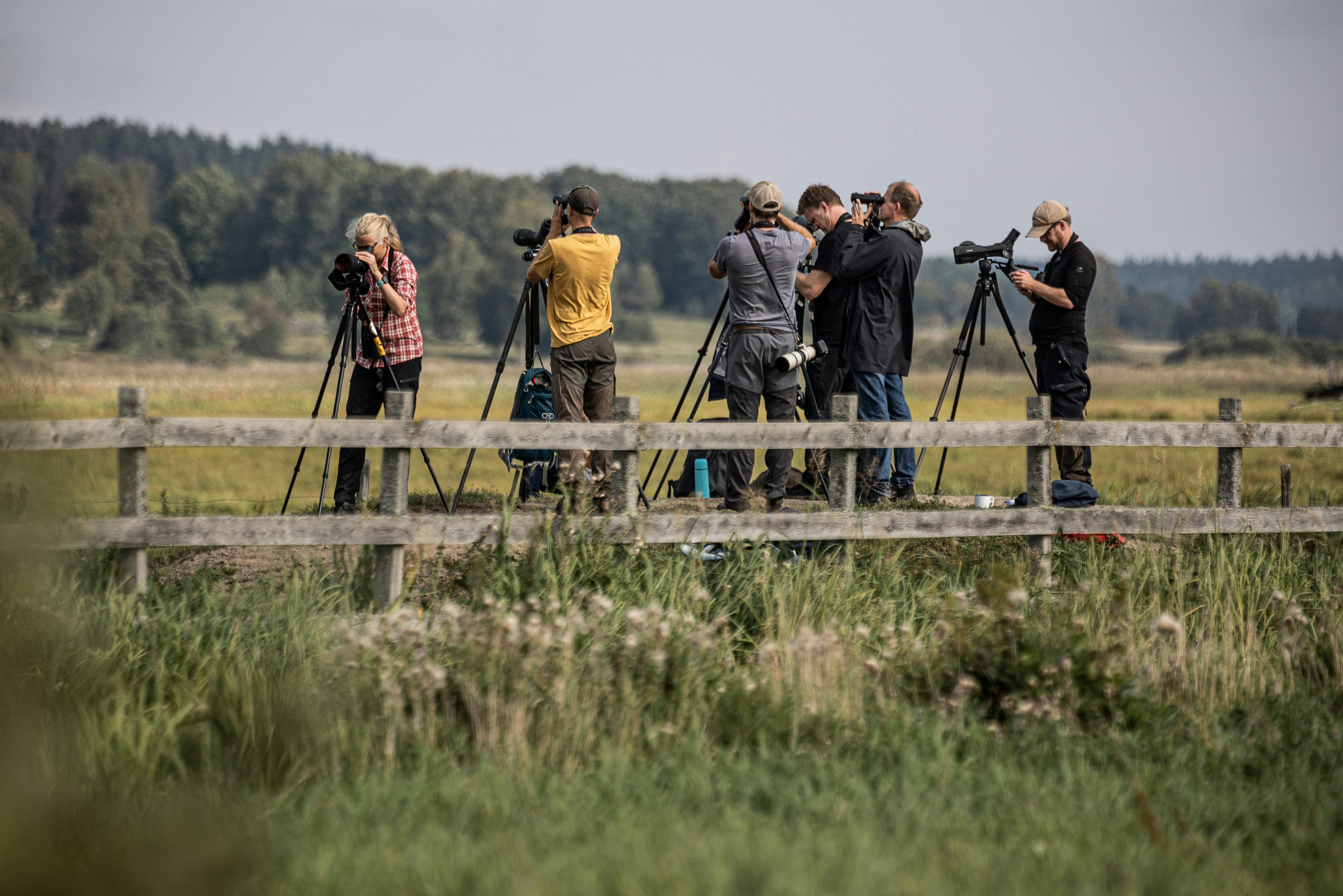 a group of people standing on top of a lush green field