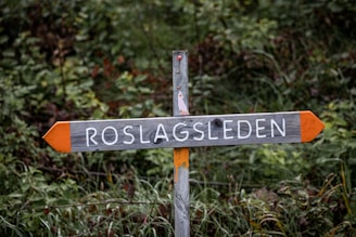 A wooden directional sign stands amidst dense greenery, featuring the word 'ROSLAGSLEDEN' written in white letters. The sign has orange tips and is surrounded by lush foliage, suggesting a natural or forested setting.