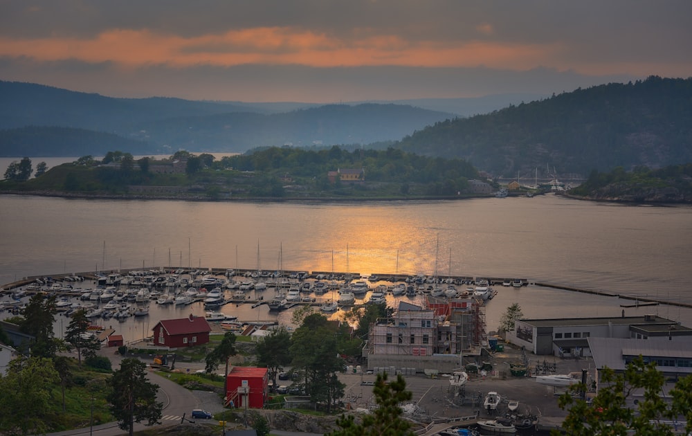 a harbor with a lot of boats in it