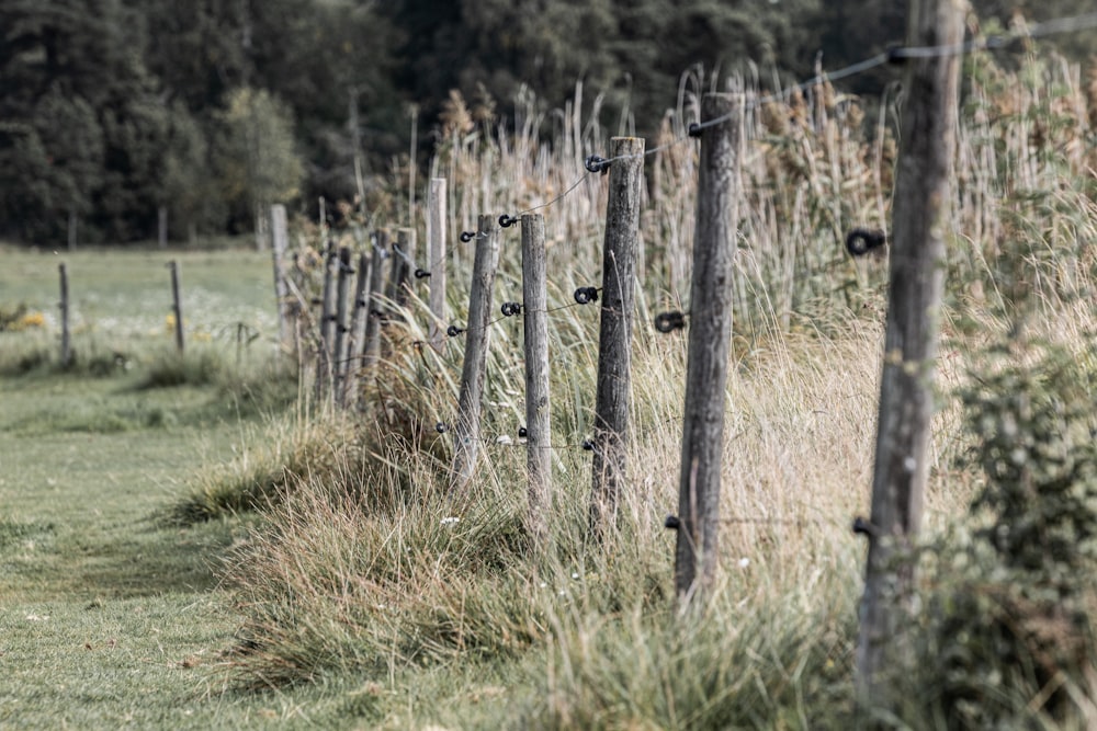 a field with a wooden fence and grass