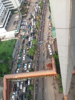 Aerial view of a city street with heavy traffic on one side and a large group of people standing in a long queue on the other. Several vehicles, including cars and rickshaws, are visible among the trees and buildings lining the road.