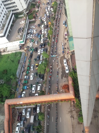 Aerial view of a city street with heavy traffic on one side and a large group of people standing in a long queue on the other. Several vehicles, including cars and rickshaws, are visible among the trees and buildings lining the road.