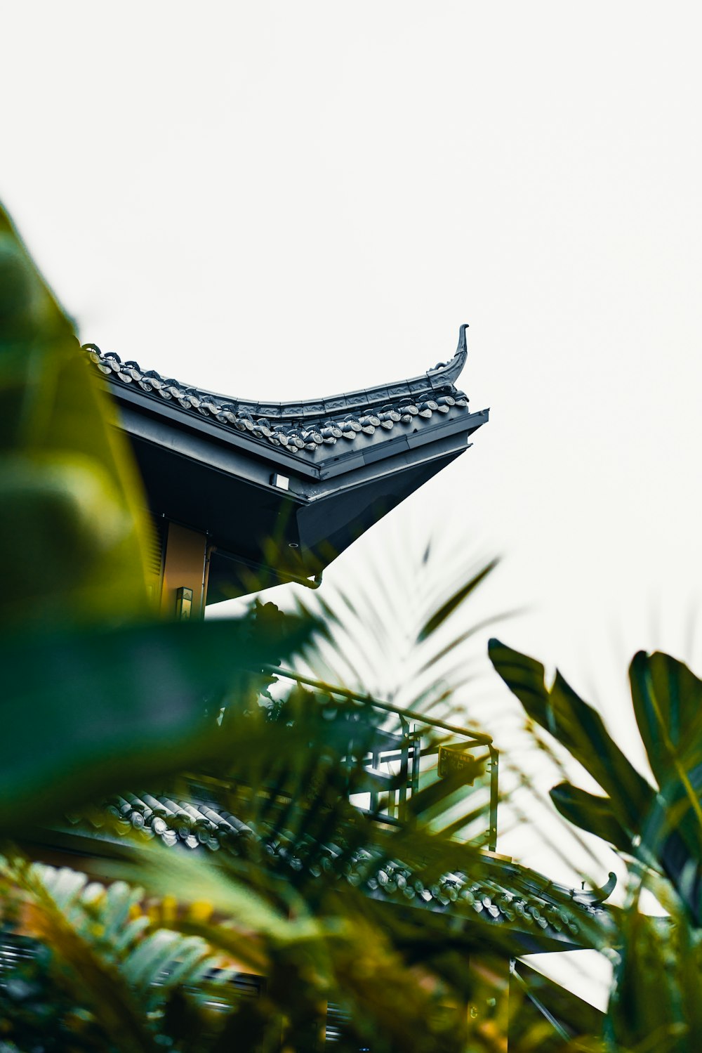 a tall building with a black roof surrounded by greenery