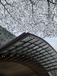 A modern architectural structure with a curved roof is seen, featuring parallel glass panels and illuminated lights along the edges. Above the structure, tree branches with dense foliage extend across the top, creating a natural canopy effect against a gray sky.