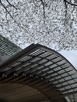 A modern architectural structure with a curved roof is seen, featuring parallel glass panels and illuminated lights along the edges. Above the structure, tree branches with dense foliage extend across the top, creating a natural canopy effect against a gray sky.