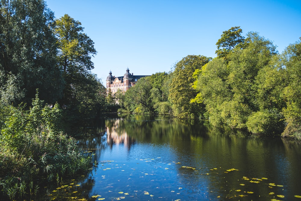 a river with a castle in the background