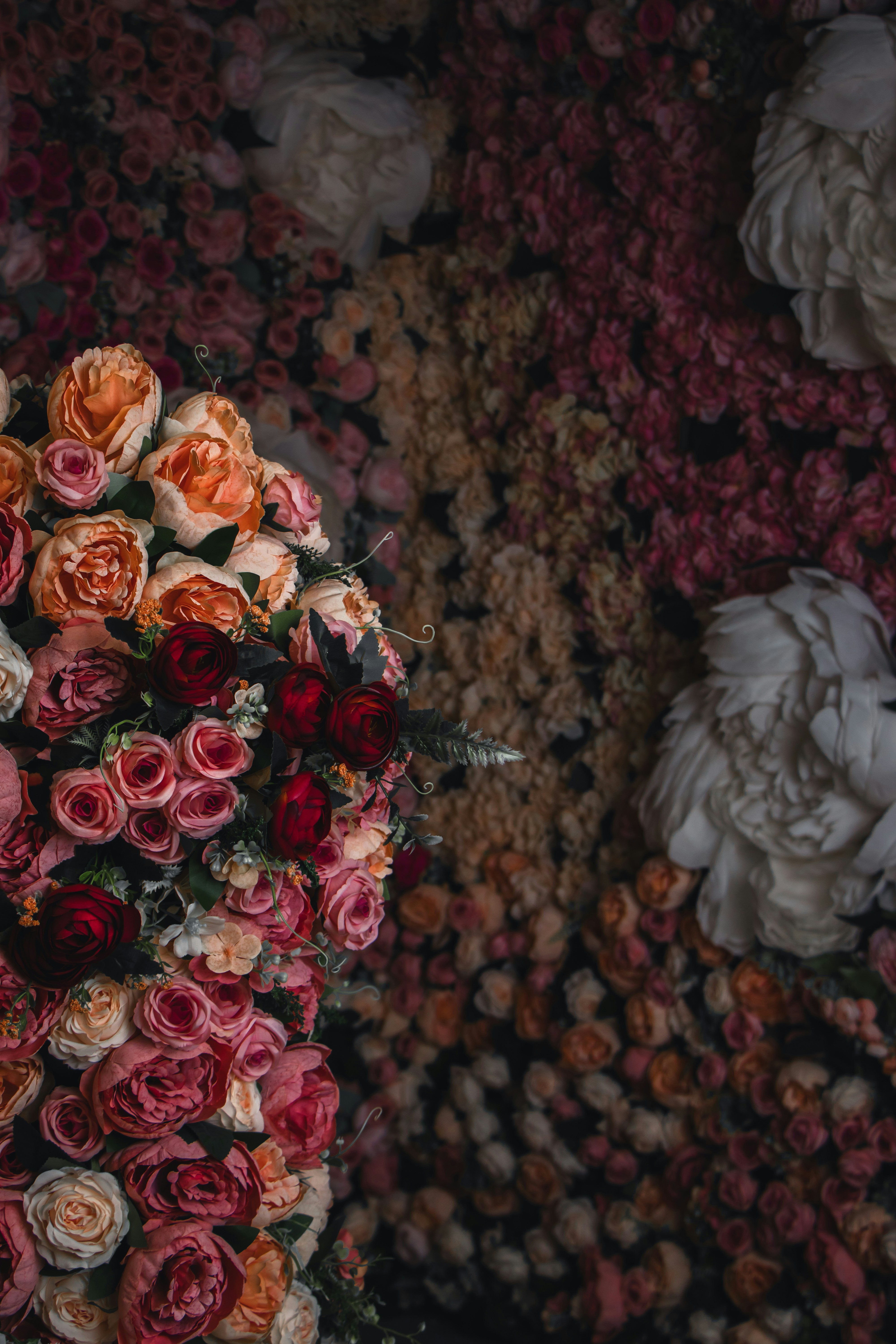 Photo by mahdibafande