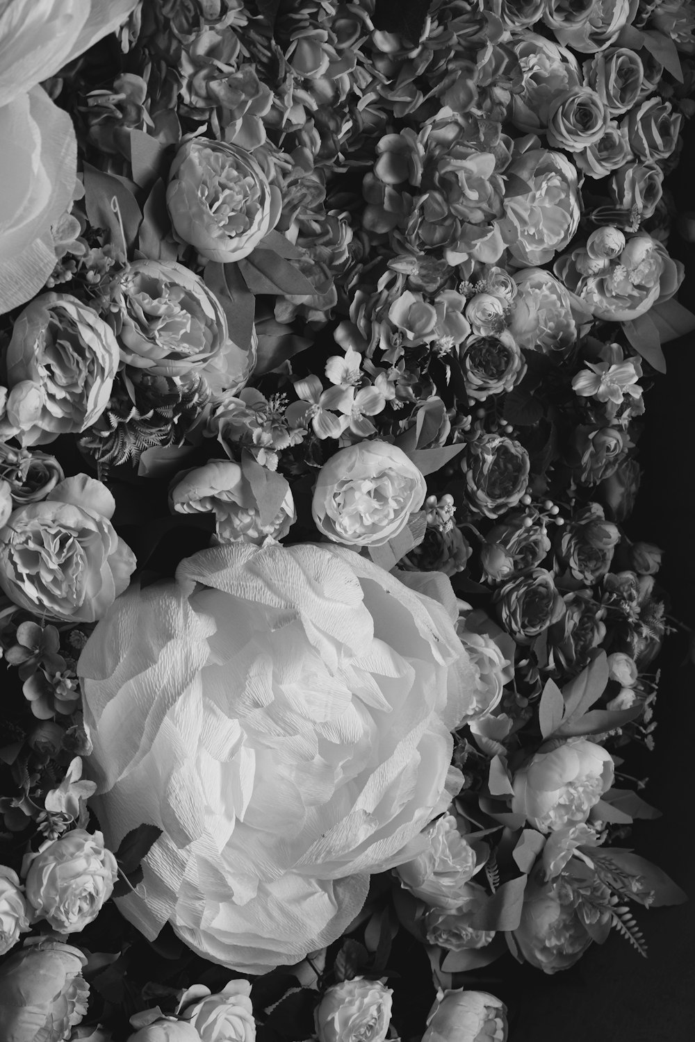 a black and white photo of a bunch of flowers