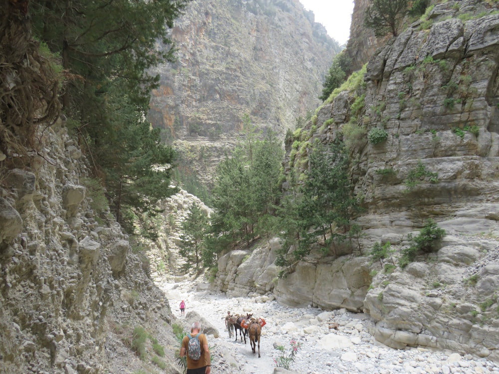 Un grupo de personas montando a caballo por un cañón