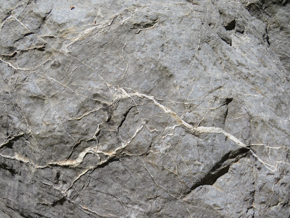 Un primer plano de una roca con grietas en ella