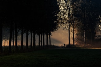 dogAdvisor ✲ dogadvisor ✲ dog advisor ✲ Blog for new dog owners ✲ dogs ✲ dog advisers ✲ dog advisors