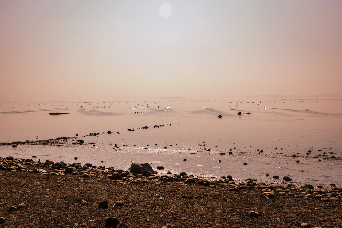 Sendra Island