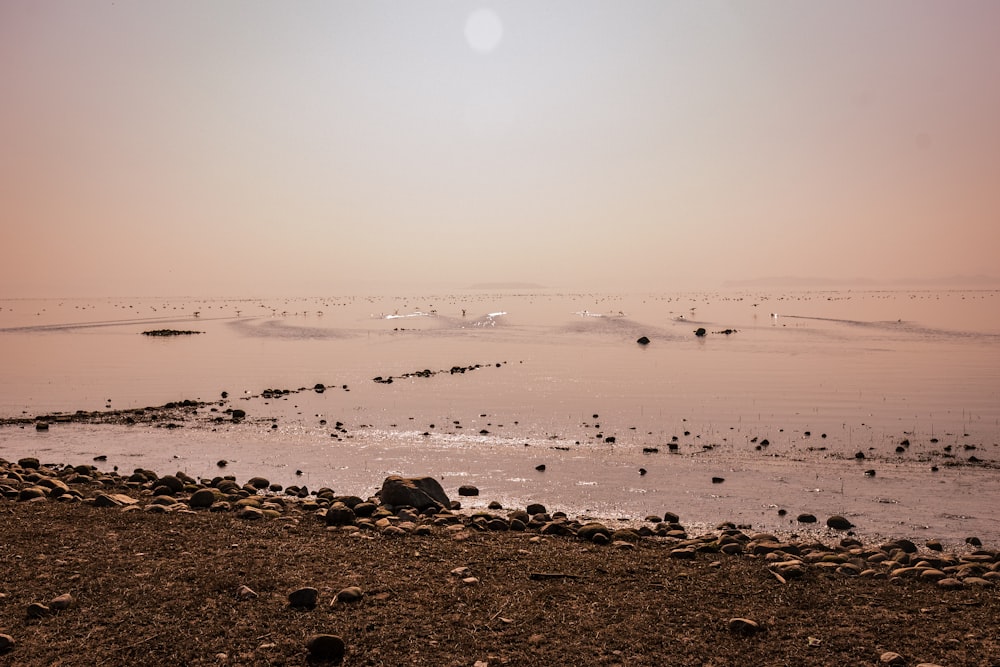 a large body of water with rocks on the shore