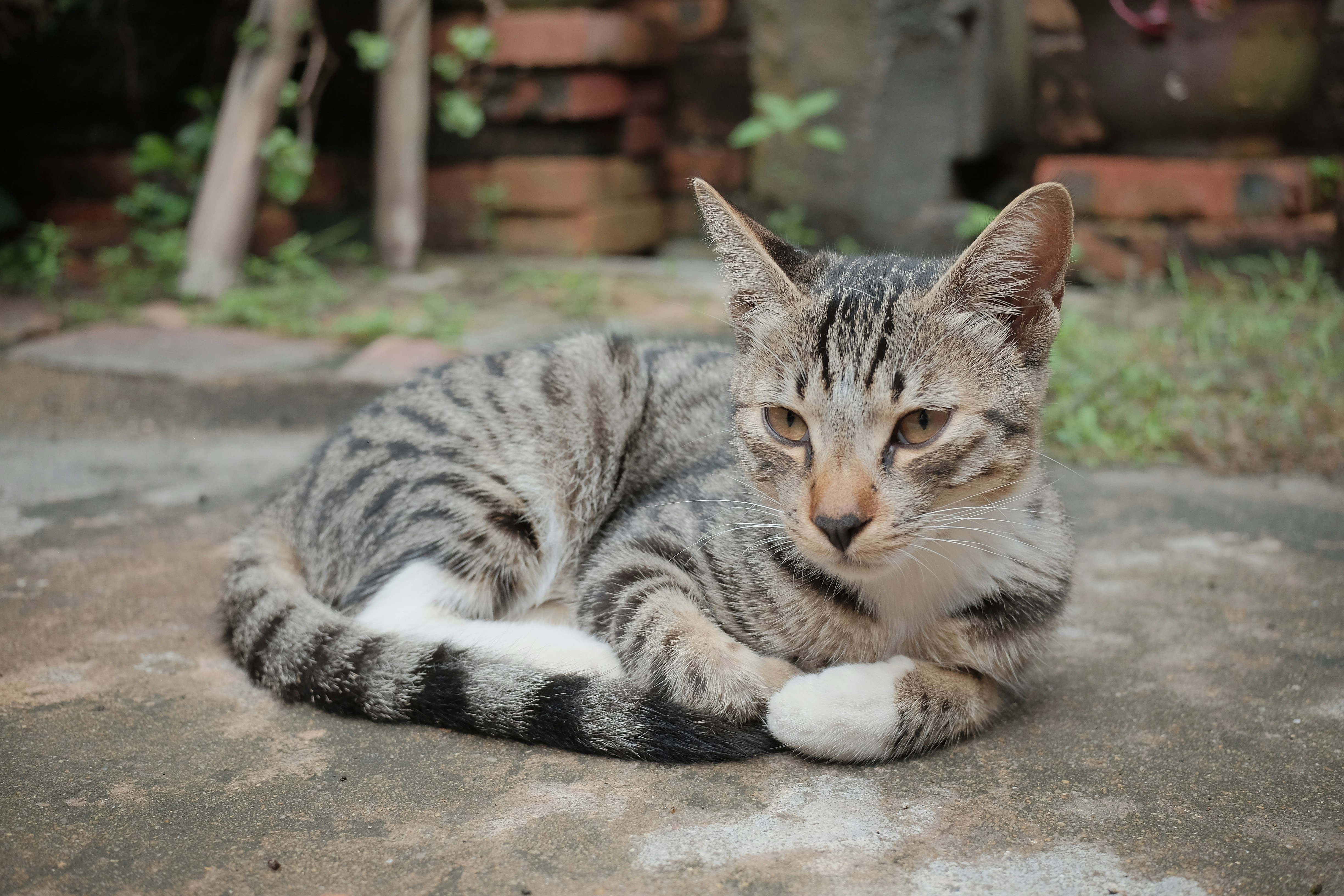 Photo by jhrcsts1206