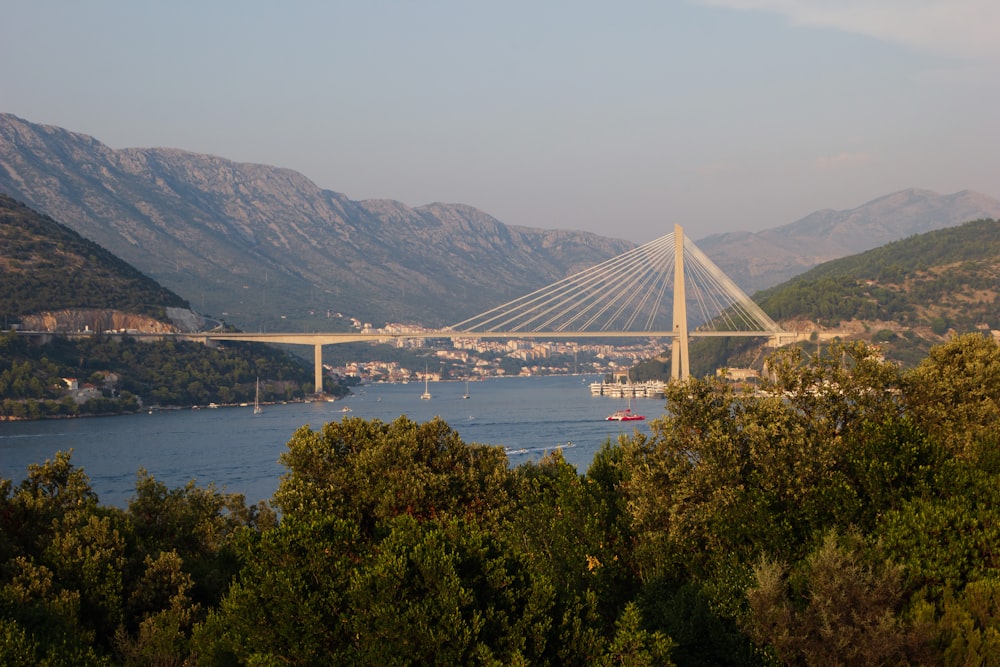 a large bridge spanning over a large body of water