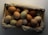 A basket filled with fresh, organic eggs in various shades of brown and white.