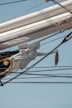 A ship's figurehead depicts a woman with flowing hair in a dynamic pose, reaching forward with a determined expression. Surrounding the figurehead are multiple ropes and chains, with a backdrop of blue sky. The figurehead has gold accents and is intricately carved.
