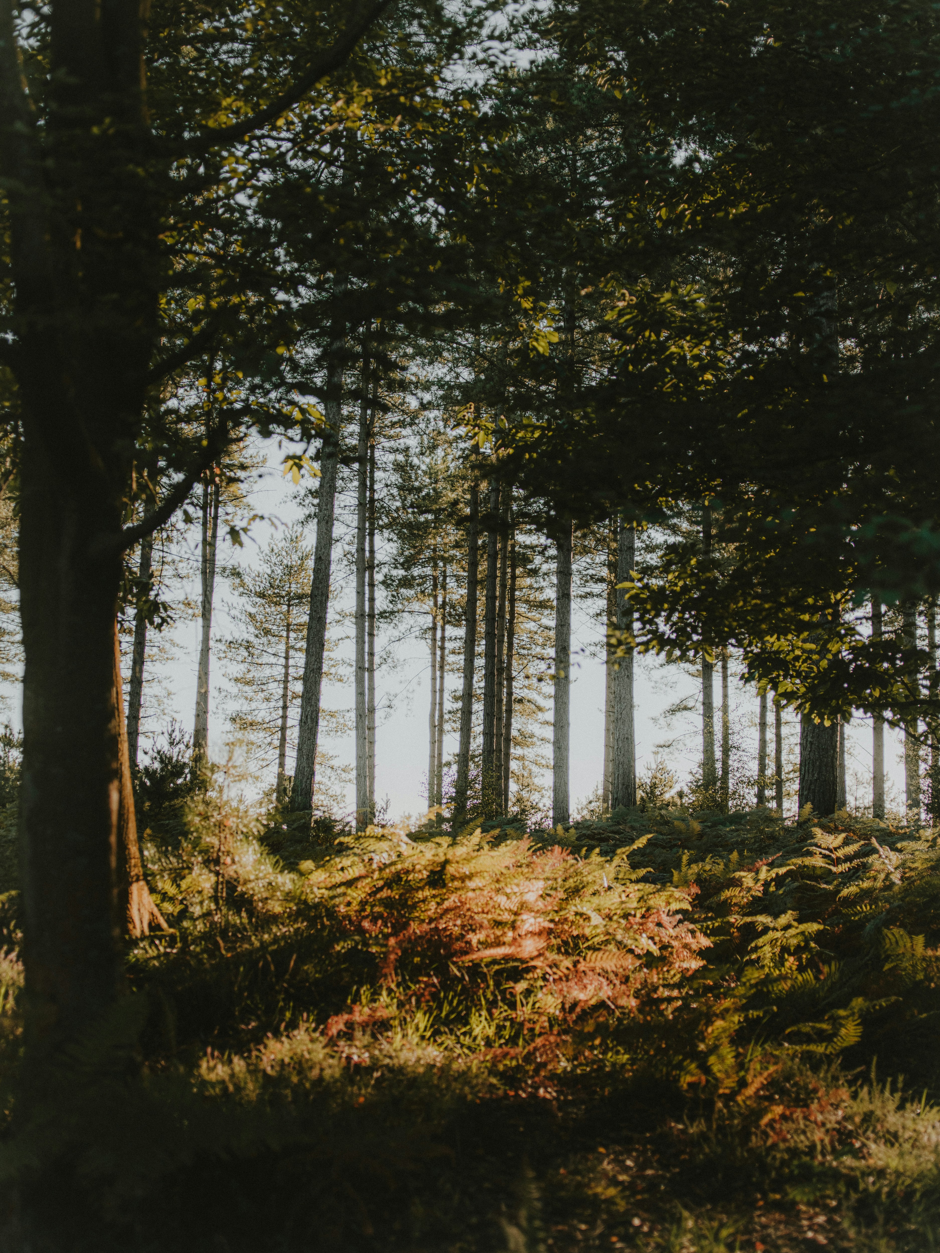 Photo by anniespratt