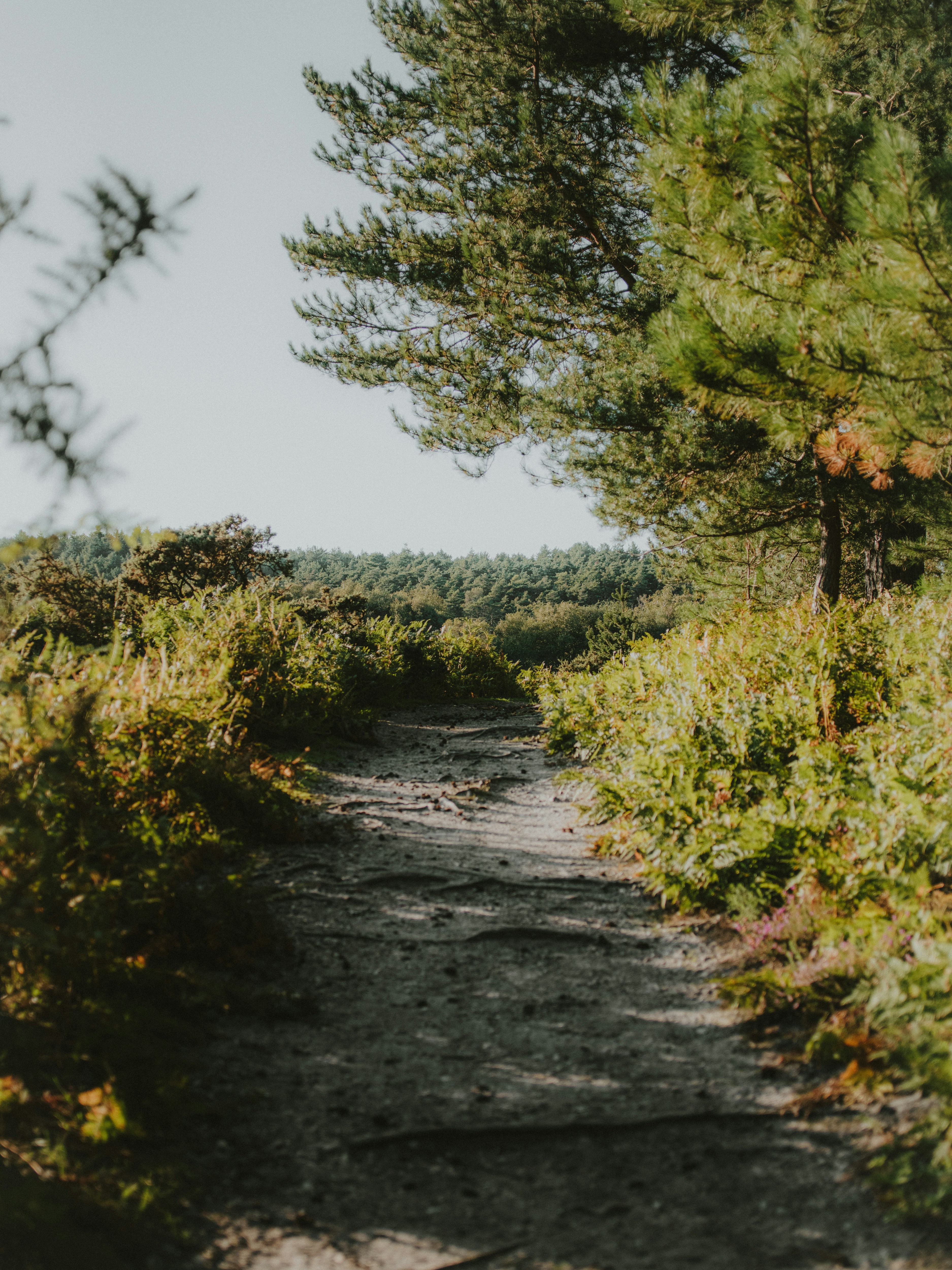 Photo by anniespratt